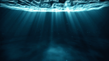 The Looming Climate Apocalypse: Ocean Twilight Zone’s Future Hangs in the Balance