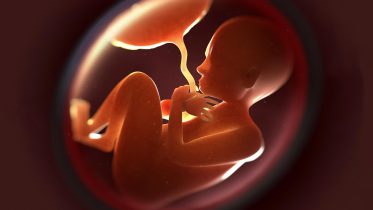 Brain Surgery Before Birth: First-of-Its-Kind, In-Utero Procedure To Fix Deadly Vascular Malformation