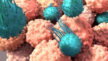 SNAPping Into Action: Revolutionizing T Cell-Based Cancer Immunotherapies