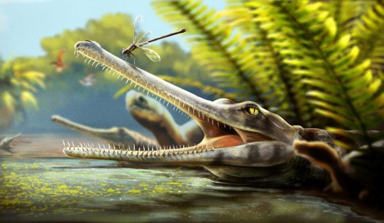 A Bizarre 170-Million-Year-Old Predator Is Rewriting What We Know About Ancient Crocodiles