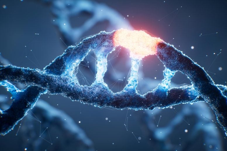 Eating 30% Less Food Has an Unexpected Effect on DNA, Study Finds