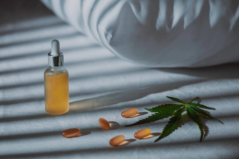 Popular Sleep Supplement Could Come With an Unexpected Catch, Scientists Warn