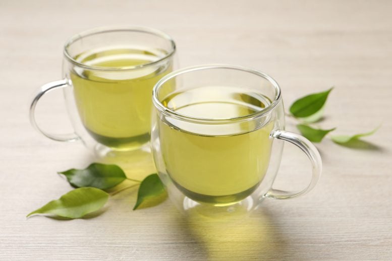 Drinking Tea May Lower Your Risk of Vascular Disease – but There’s a Catch