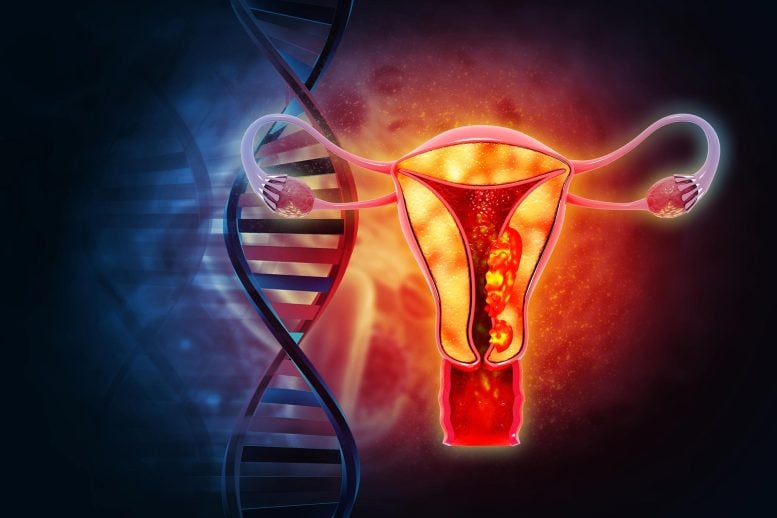 Scientists Discover That Ovaries May Be Doing Something Unexpected Decades After Menopause