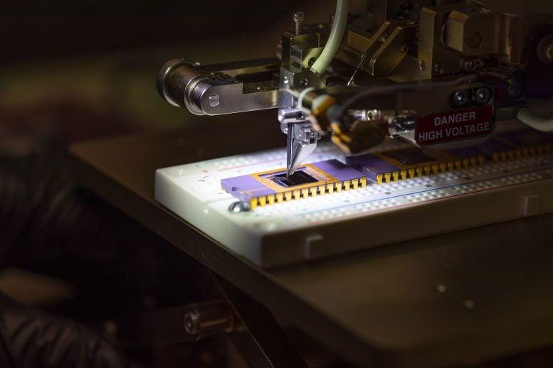 No Batteries, No Plugs: Scientists Create a Tiny Sensor That Powers Itself