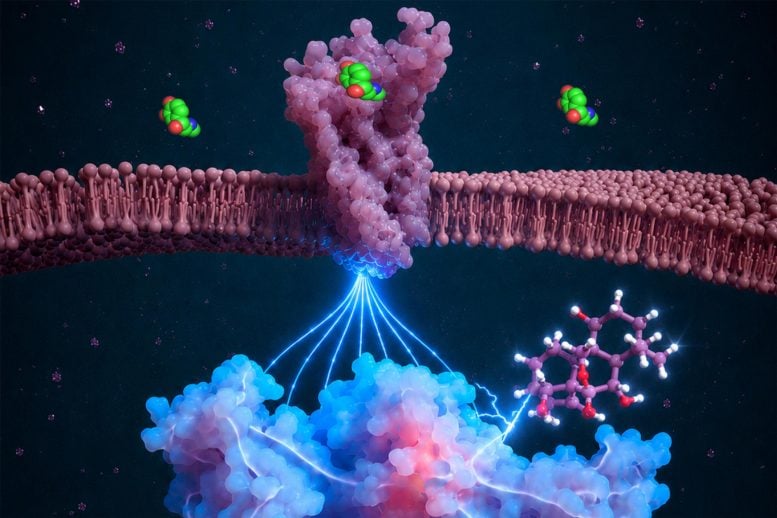 A Major Drug Breakthrough Could Change How Ozempic and Wegovy Work