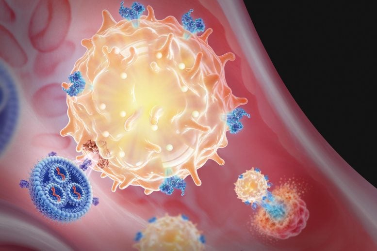 MIT Scientists Reprogram Immune Cells Inside the Body To Destroy Cancer