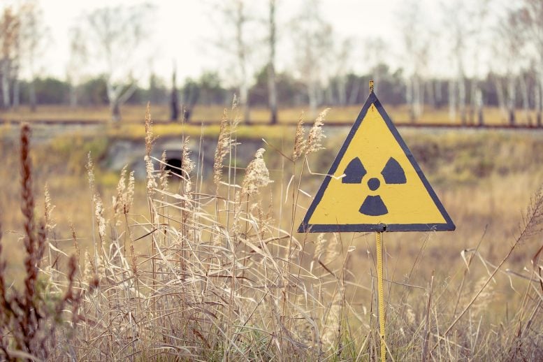 Chernobyl’s Radioactive Debris Is Defying Scientists’ Expectations 40 Years Later