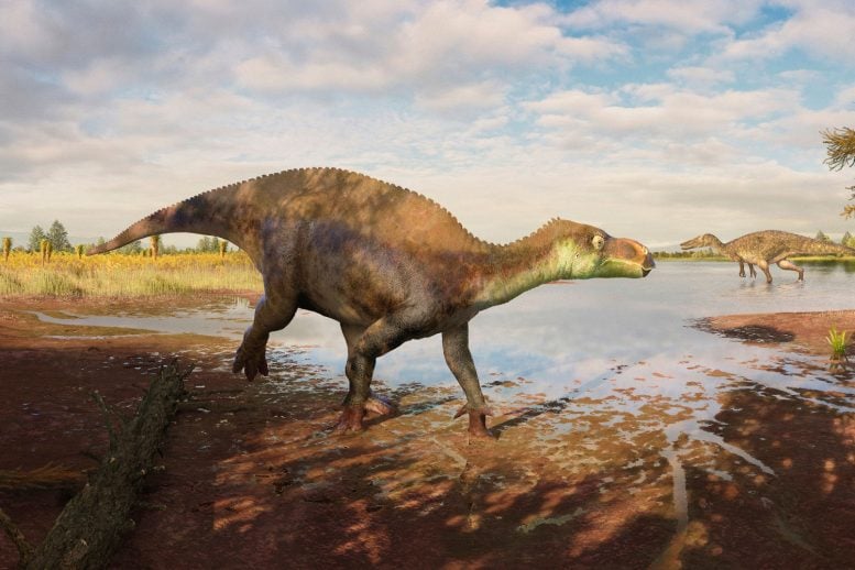 Scientists Discover a New Dinosaur Species Hiding in Plain Sight for 25 Years