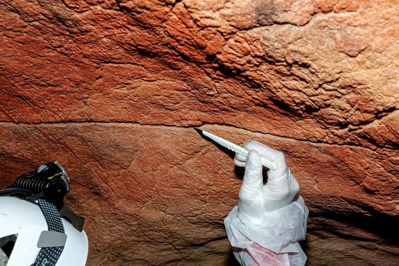 Scientists Discover Ancient Human DNA Hidden in Cave Walls for Thousands of Years
