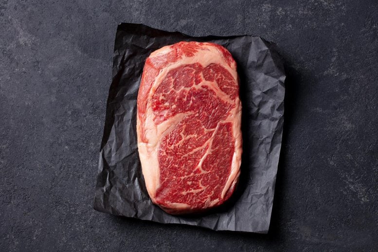 Scientists Discover That One Common Protein Source Makes Gut Inflammation Much Worse
