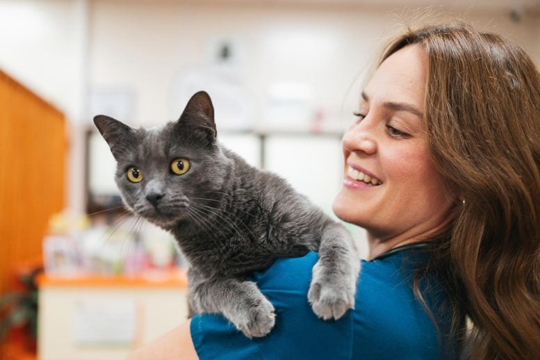 Scientists Find That Cats and Their Owners Share a Surprising Biological Connection