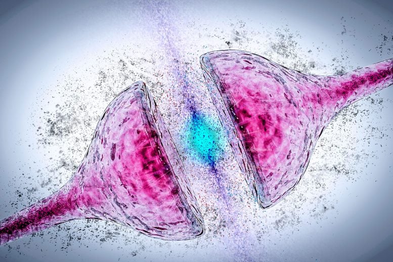 Scientists Restore Memory in Mice With Alzheimer’s by Boosting a Single Brain Protein